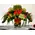 Arrow line flowers