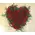 Red flower heart