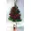 (21) red roses bouquet  A' quality Dutch gift wrapped with greens + VASE