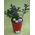 "Ilex" or "Gaultheria Big Berries" plant in ceramic pot