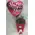 Red roses (9) stems in modern water flower bag