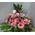 Rich romantic pink colored flower arrangement