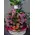 Basket flower arrangement for new born baby