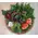 Flower arrangement in glass tray with autumn flavor