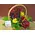 Flower arrangement in small  basket with autumn flavor