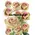 Roses upper secret