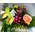 Table flower arrangement
