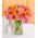 (10) Germini - Gerberas Bouquet + Vase