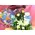 Ceramic pot with flowers teddy bear and helium balloon