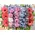 Flat basket 45cmx30cm with flowers in parallel rows