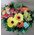 Multi colored flowers in basket