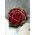 Design bouquet (31) red roses Extra Quality Dutch + Vase!!!