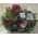 Christmas & New Year Celebrating Arrangements