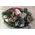 Christmas & New Year Celebrating Arrangements