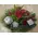 Christmas & New Year Celebrating Arrangements