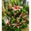 Rich romantic pink colored flower arrangement