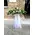 Arrow shaped arrangements & Phalaenopsis Orchids Plants