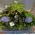 Exclusive Arrangement in basket