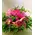 Autumn basket with season flowers.