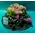 Flower arrangement on tray. Fence structure !!!