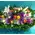 Big basket  with multi colored season flowers