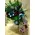Blue Lillies & Red Roses Bouquet.(special)