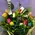 Wooden frame flower arrangement with Champagne !!!