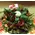 Christmas & New Year Celebrating Arrangements With Flowers & Decoration Articles .Trays.