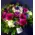 Roses "Rainbow"
