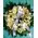 White condolences wreath. (Medium)