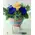 Season flowers - Random Varieties