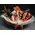 Gourmet basket Wine Chocolates Snacks Fruits Nuts Cheese Sausage