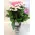 Pebbles  in glass vase with season summer flowers