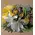 send flowers