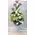 Flower bouquet with oriental lillies in glass vase