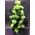 Arrangement in glass vase with white flowers & colored decorative sand!!!