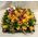 Flower arrangement on tray - Autumn colors!!!