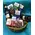 Basket Wine + Chocolates  !!!