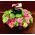 Arrangement in glass vase with white flowers & colored decorative sand!!!