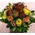 Τριαντάφυλλα mix (10)τεμ. ποτ 2,00€. !!! (Μόνο για Αθήνα Κέντρο & Προάστια)