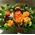 Basket with exclusive flowers.Spring freshness!!!