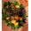 Flower arrangement in small basket with autumn flavor.Salmon colors!Special