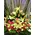 Exclusive Arrangement in basket. Pink