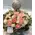 Basket with season flowers