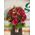 Design μπουκέτο  με (21) κόκκινα τριαντάφυλλα + Βάζο + Διακοσμητικό Ζελέ !!!