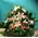 Rich romantic pink colored flower arrangement