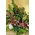 Red & pink flowers bouquet