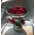 exclusive red roses
