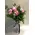 Roses aqua snowy.Special In Vase.