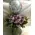 Roses "Safi"  Exclusive Purple Color. Exclusive in Zink Pot (40) stems